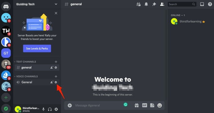 Discord Voice Channel Settings