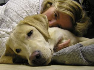 Can I Catch Heartworms From My Dog?