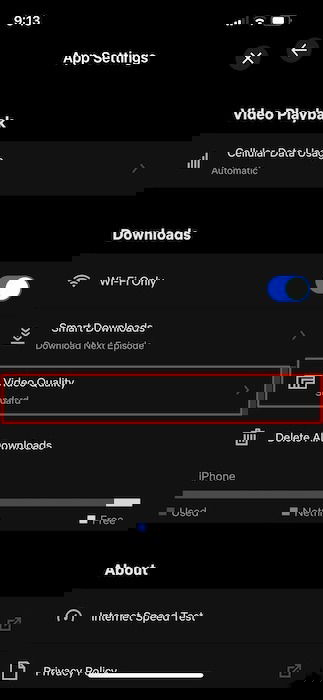 Download Netflix Content Offline App Settings