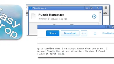 How To Access Dropbox from Google Chrome
