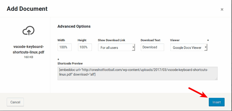 embed-doc-wordpress-advanced-options