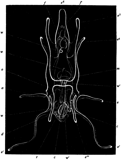 fig. 166 fig. 166