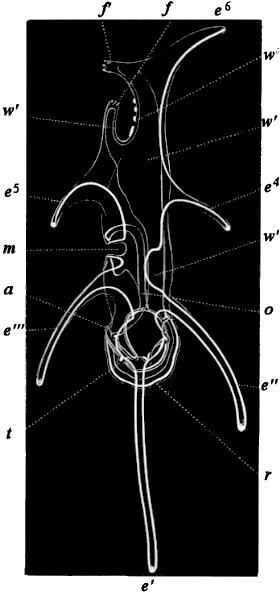fig. 167 fig. 167