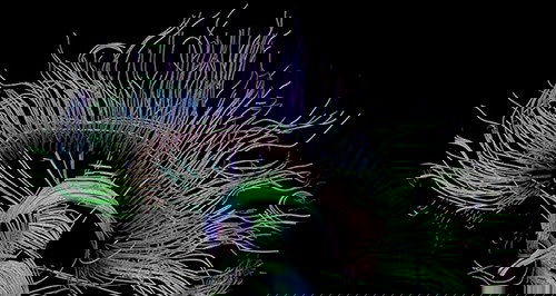 fake-news-brain fake-news-brain