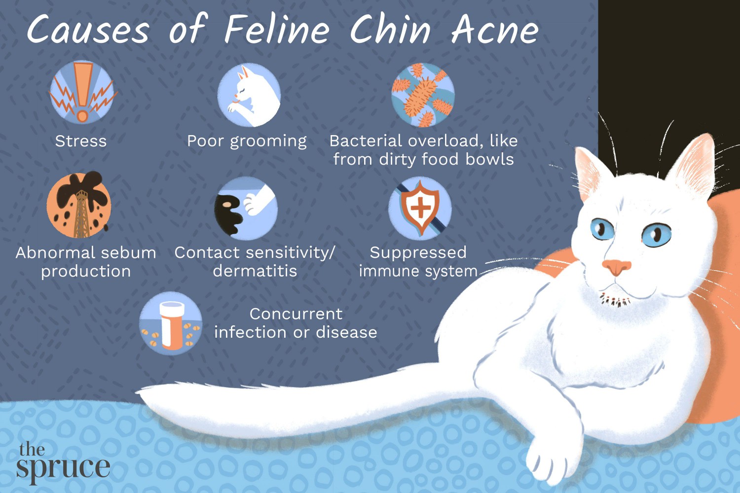 Causes of Feline Chin Acne