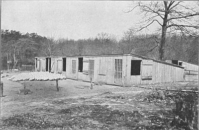 House for breeding ducks. Linked to larger image.