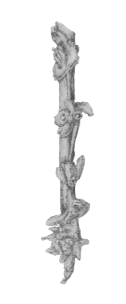 Fig. 45.—Zoarium of Stolella indica on stem of water-plant (from Calcutta), × 6. Illustration: Fig. 45.—Zoarium of Stolella indica on stem of water-plant (from Calcutta), × 6.