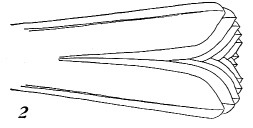 Fig.2
