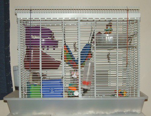 rat cage setup