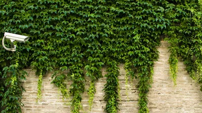 How to Search Google Anonymously on Firefox While Staying Signed In