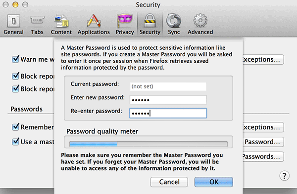 When you have entered a master password, click on 'OK.'