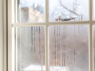 Fogged Window Repair Solutions