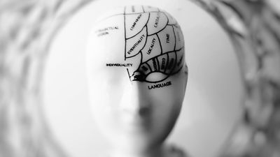 Free Memory Games for Adults and Seniors