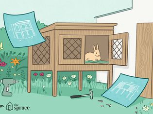 8 Free DIY Rabbit Hutch Plans: Build Safe Homes for Your Bunnies