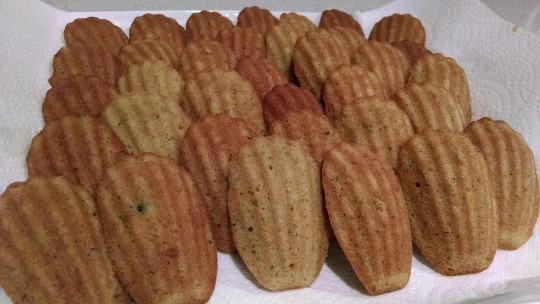 Zucchini Bread