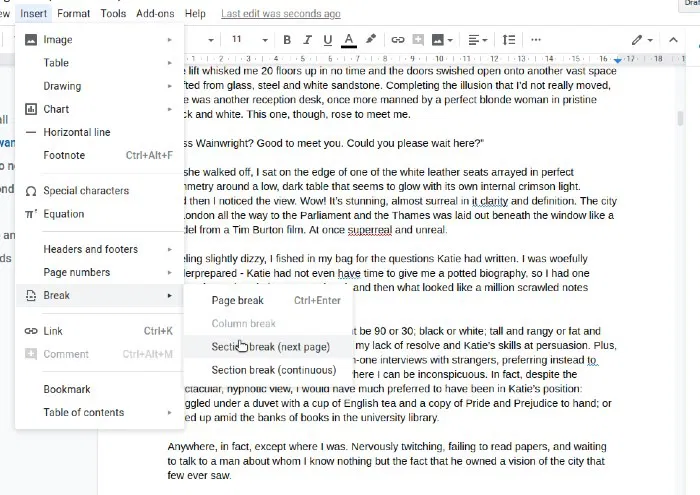 Image showing the options for section breaks in Google Docs.