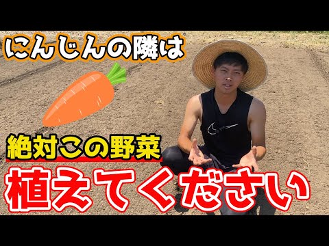 キャロットの伴生植え｜効果的な組み合わせと失敗しないコツ