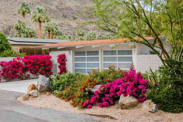 Midcentury modern home with colorful bushes and landscaping in front
