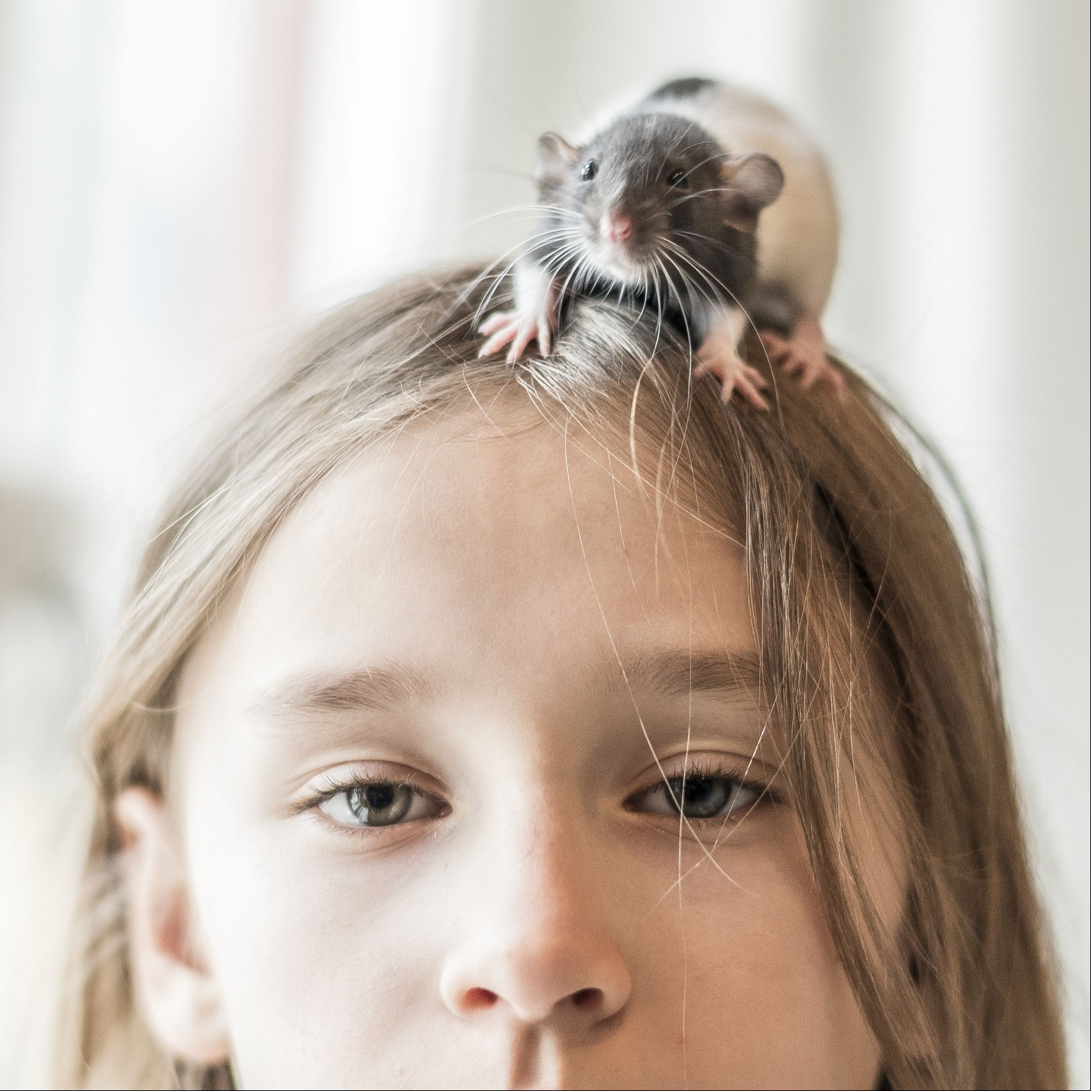 Girl with pet rat on her head