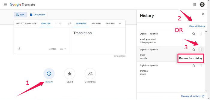 Google Translate Guide Desktop Remove History