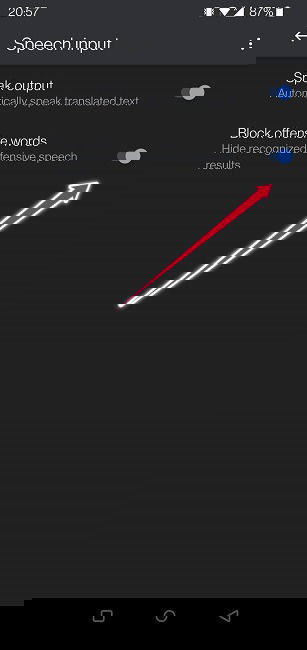 Google Translate Guide Mobile Block Offensive Words