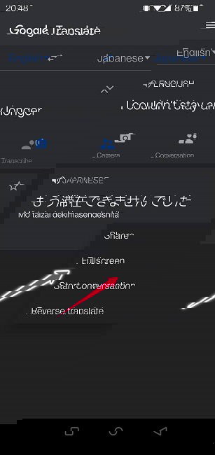 Google Translate Guide Mobile Full Screen Mode