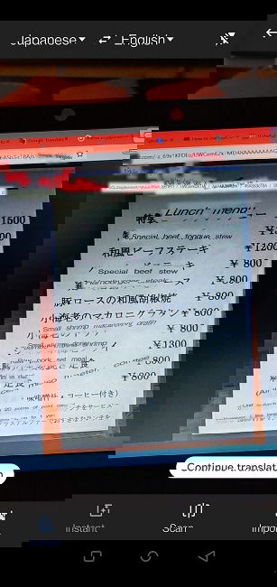 Google Translate Guide Mobile Partial Translation