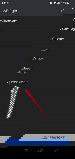 Google Translate Guide Mobile Speech Input