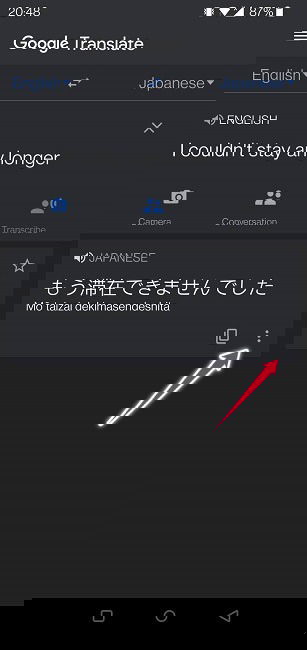 Google Translate Guide Mobile Three Dots Target Language