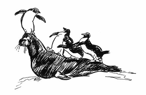 'I shall sing you the "Penguin Bold"