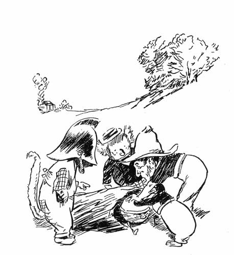 'How'd you like to be shoved in a blooming log,'