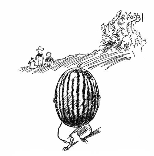 'Take me watermelon,' he gasped