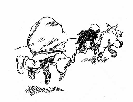 'What a frightful calamity,'