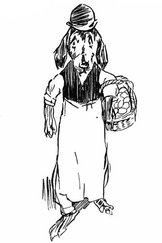 Bunyip Bluegum