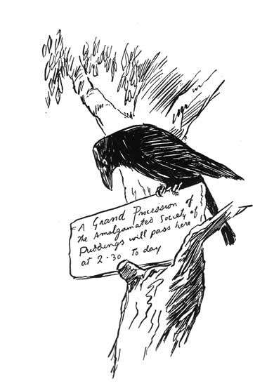 a crow, who happened to be passing