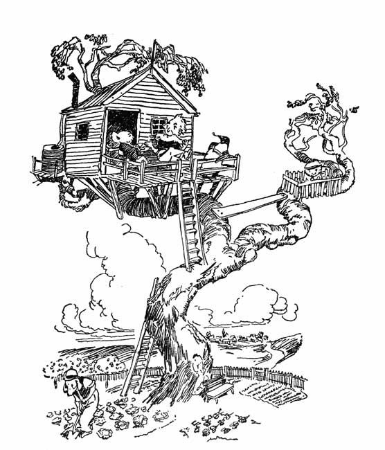 what a splendid house it is