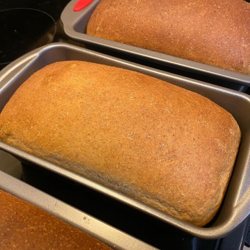 Wholesome Homemade Honey Whole Wheat Bread