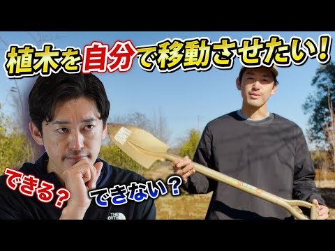 プロが教える森から木を移植するベストタイミングと成功率を上げるコツ