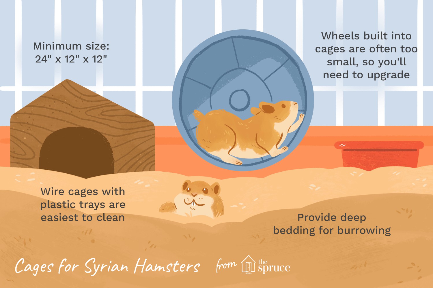 Cages for Syrian Hamsters