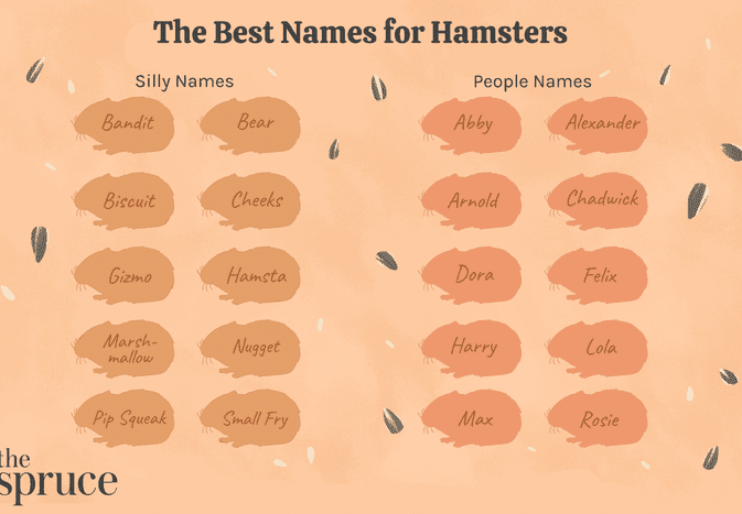 100 Names for Pet Hamsters