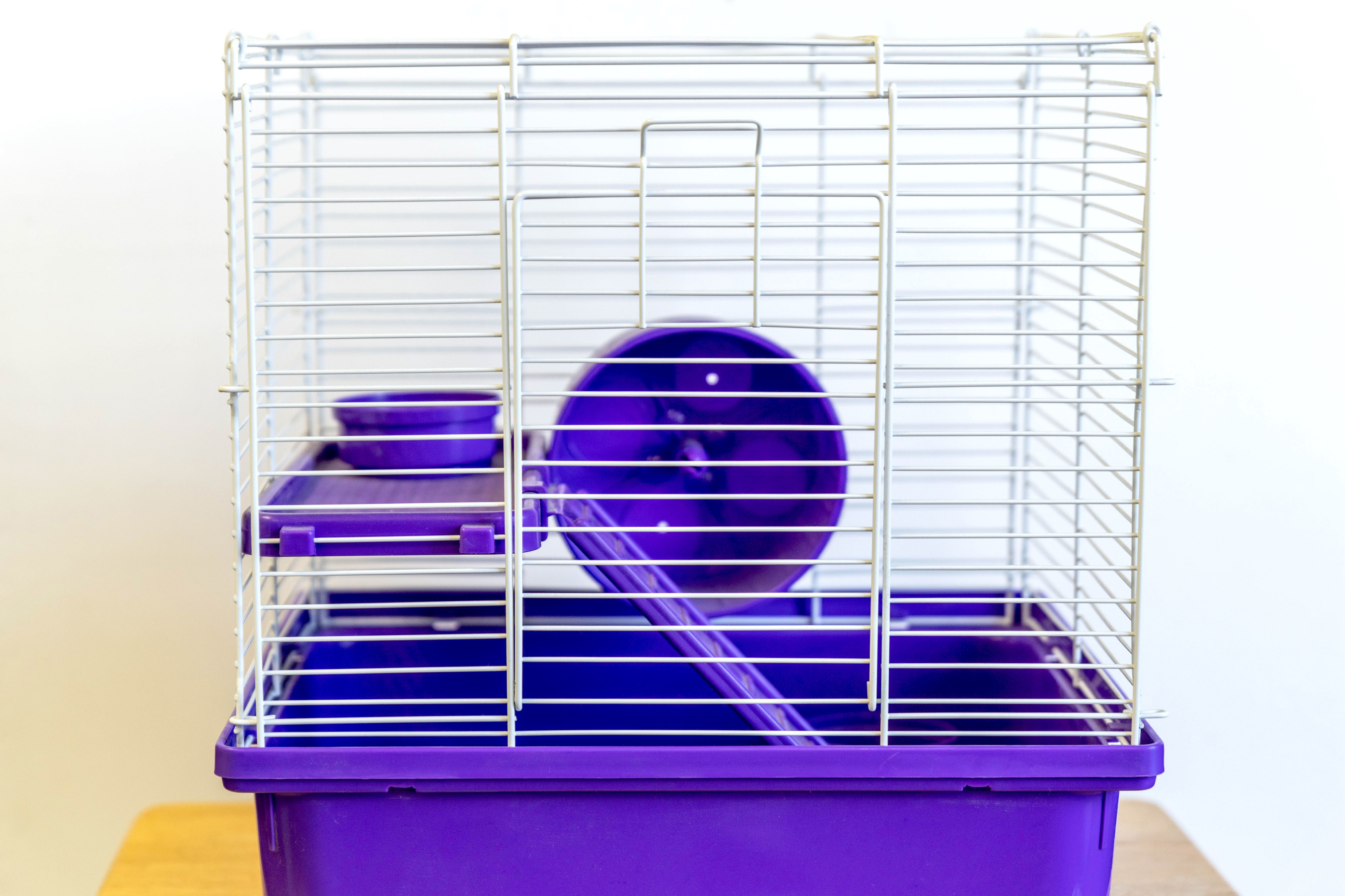 Purple hamster cage with white metal wiring