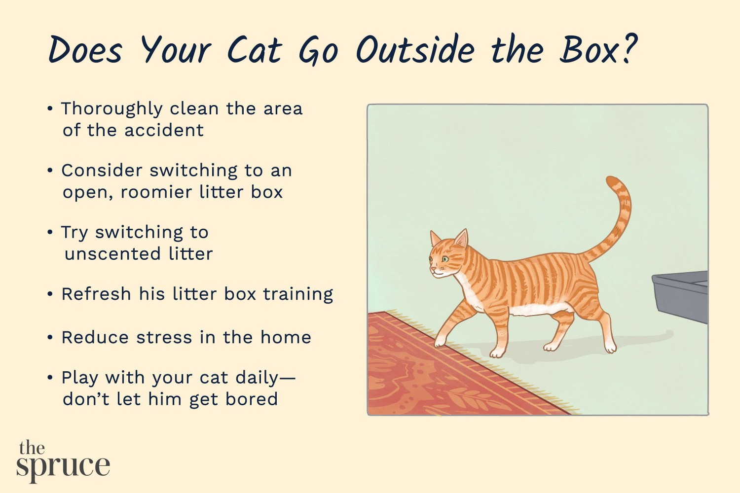 Cat pooping outside of box
