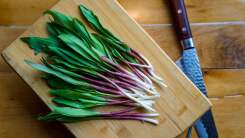 The Right Way to Take a (Wild) Leek