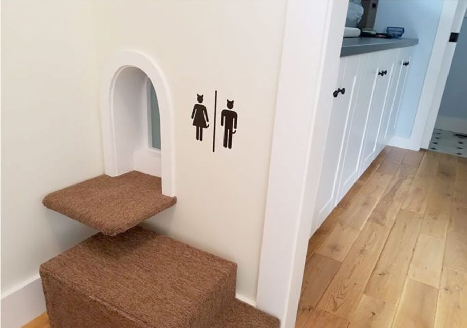cat door decals