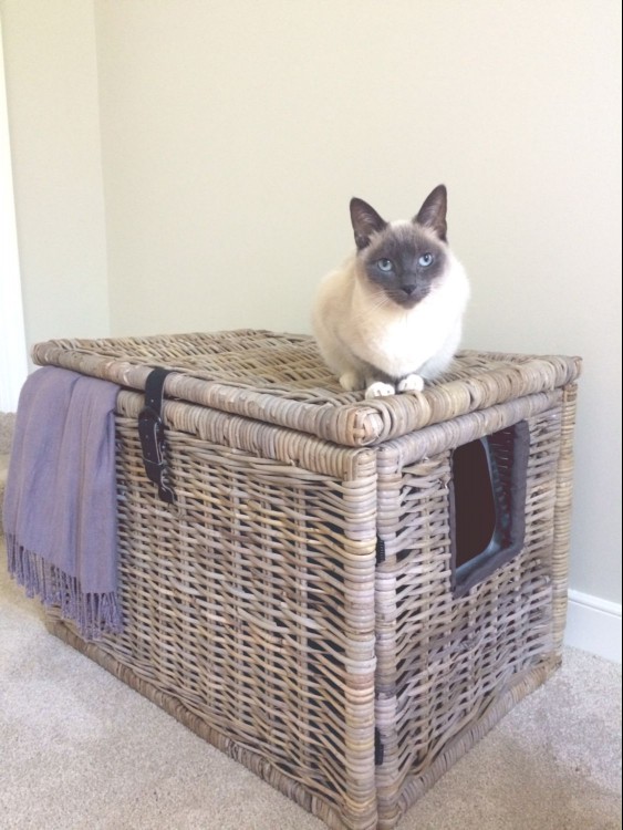 basket litter box