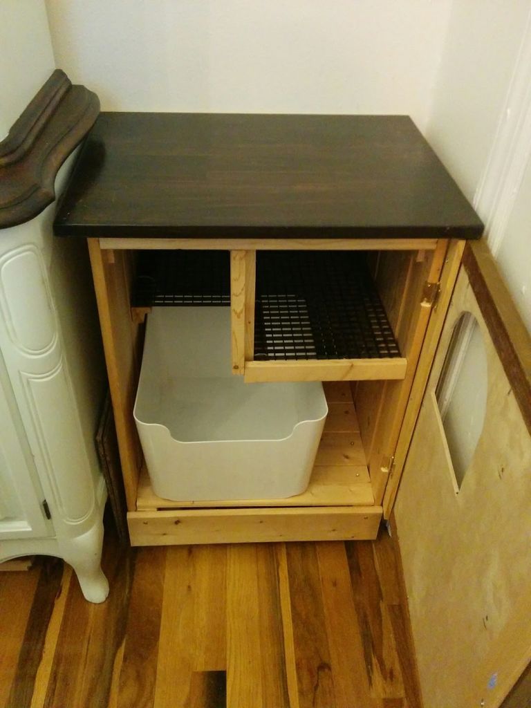 cat walk litter box