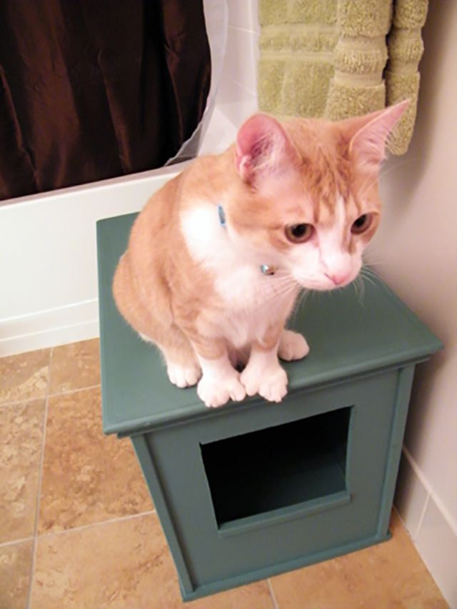 custom-built litter box
