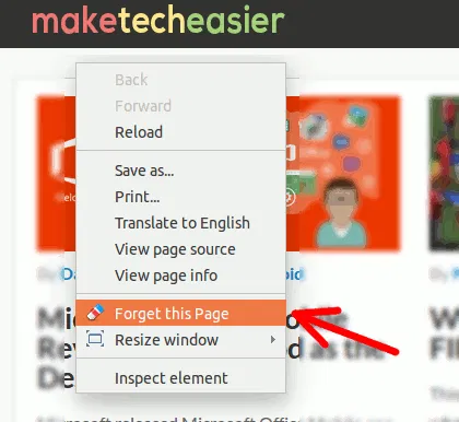history-eraser-forget-this-page-options history-eraser-forget-this-page-options