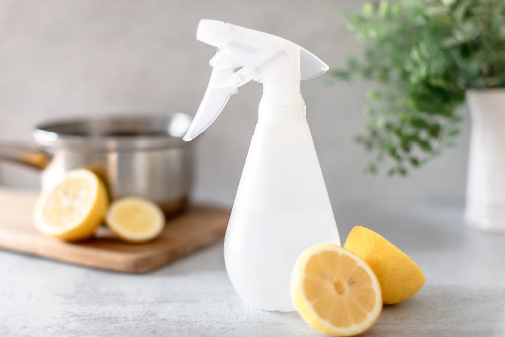 Clear spray bottle with slices of lemon for preventing fleas