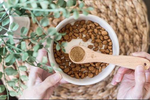 Spices in teaspoon held over bowl of cat food for preventing fleas